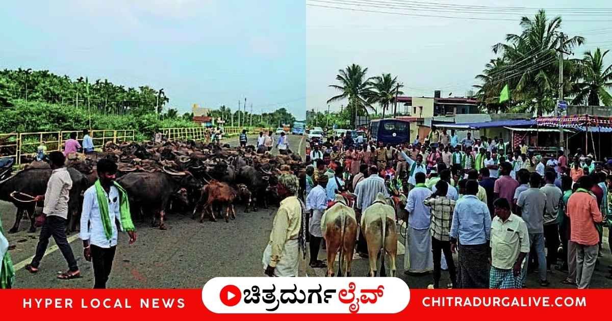 ಹೊಸದುರ್ಗದ ಮಾವಿನಕಟ್ಟೆ ಗೇಟ್ ಬಳಿ ಭೀಕರ ಬರ ಪರಿಹಾರ ಹಾಗೂ ರಾಗಿ ಬೆಂಬಲ ಬೆಲೆ ಹಣ ಬಿಡುಗಡೆಗೆ ಆಗ್ರಹಿಸಿ ರೈತರಿಂದ ಬೃಹತ್ ರಸ್ತೆ ತಡೆ ಚಳವಳಿ. ಭದ್ರಾ ನೀರು ಹಂಚಿಕೆ ಹಾಗೂ ಮೇವಿನ ಬ್ಯಾಂಕ್ ಸ್ಥಾಪನೆಗೆ ರೈತರ ಪಟ್ಟು.