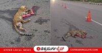 ಚಿತ್ರದುರ್ಗದ ತಮಟಕಲ್ಲು ಬಳಿ NH 48 ರಸ್ತೆ ದಾಟುತ್ತಿದ್ದ ಚಿರತೆ ಮರಿಗೆ ಅಪರಿಚಿತ ವಾಹನ ಡಿಕ್ಕಿಯಾಗಿ ಸ್ಥಳದಲ್ಲೇ ಸಾವನ್ನಪ್ಪಿದೆ. ಚಾಲಕ ಪರಾರಿಯಾಗಿದ್ದು, ಅರಣ್ಯ ಇಲಾಖೆ ಅಧಿಕಾರಿಗಳಿಂದ ಪರಿಶೀಲನೆ ನಡೆದಿದೆ. ಚಿತ್ರದುರ್ಗದ ತಾಜಾ ಸುದ್ದಿಗಳಿಗಾಗಿ ಓದಿ.